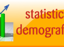 Statistiche Demografiche